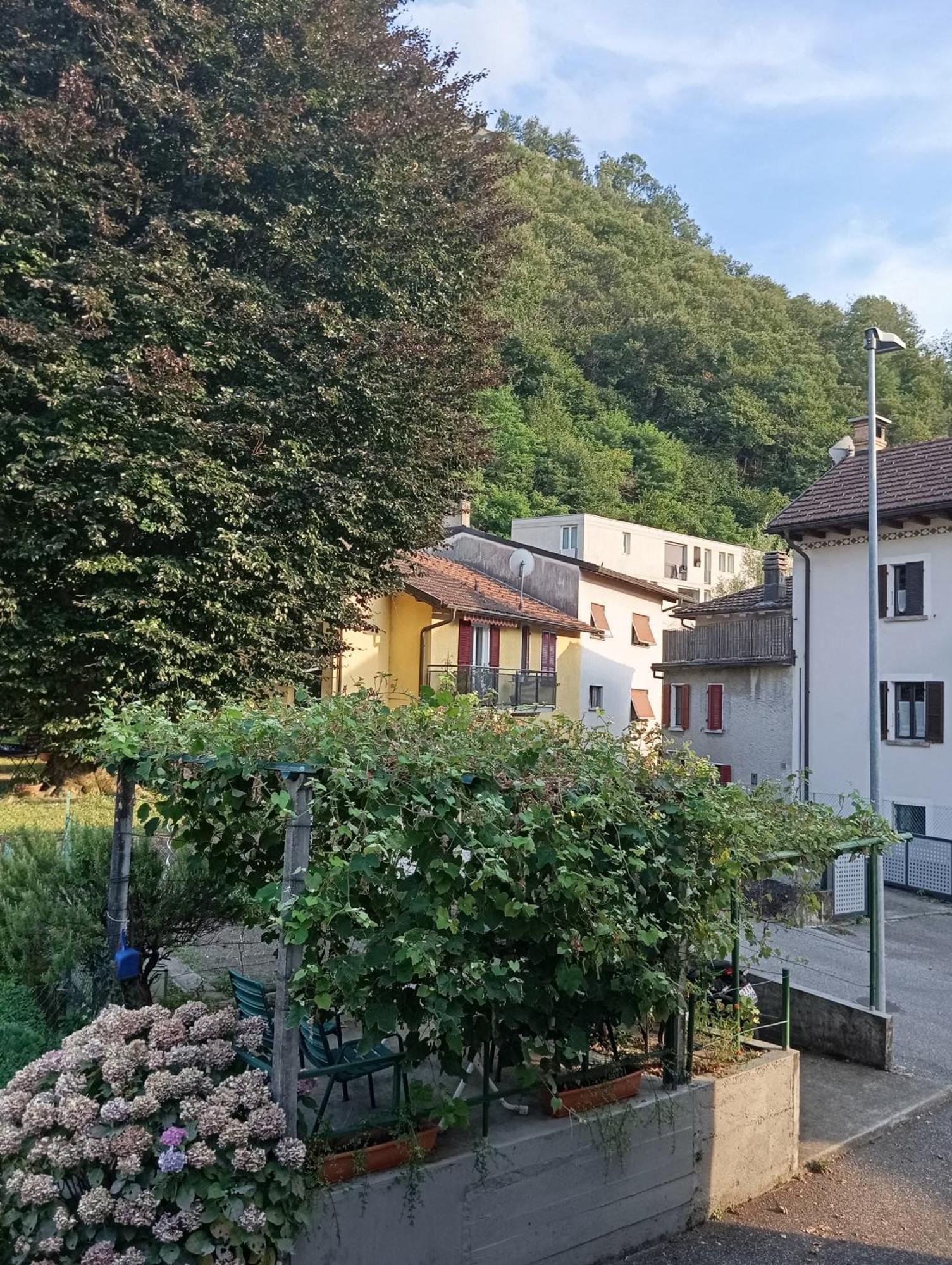 Minicasa Villa Bellinzona Exterior photo